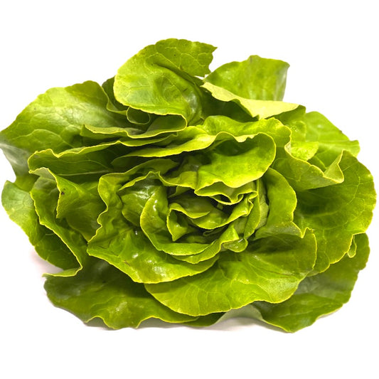 Lettuce Oak Leaf