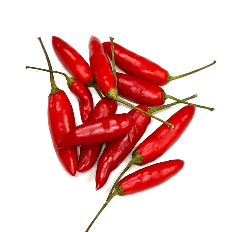 Chilli Red Birdseye PACK