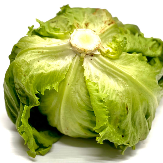 Lettuce Iceberg