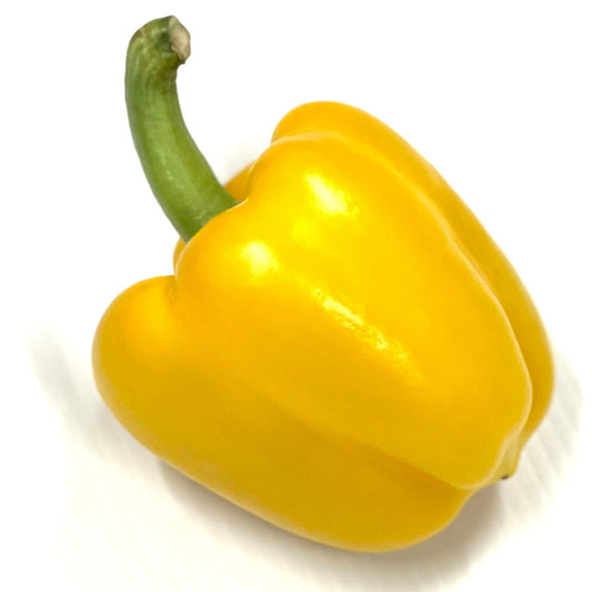 Capsicum Yellow