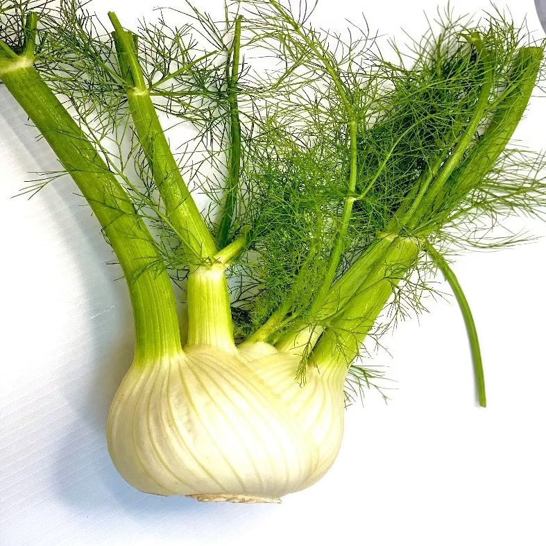 Fennel (each)