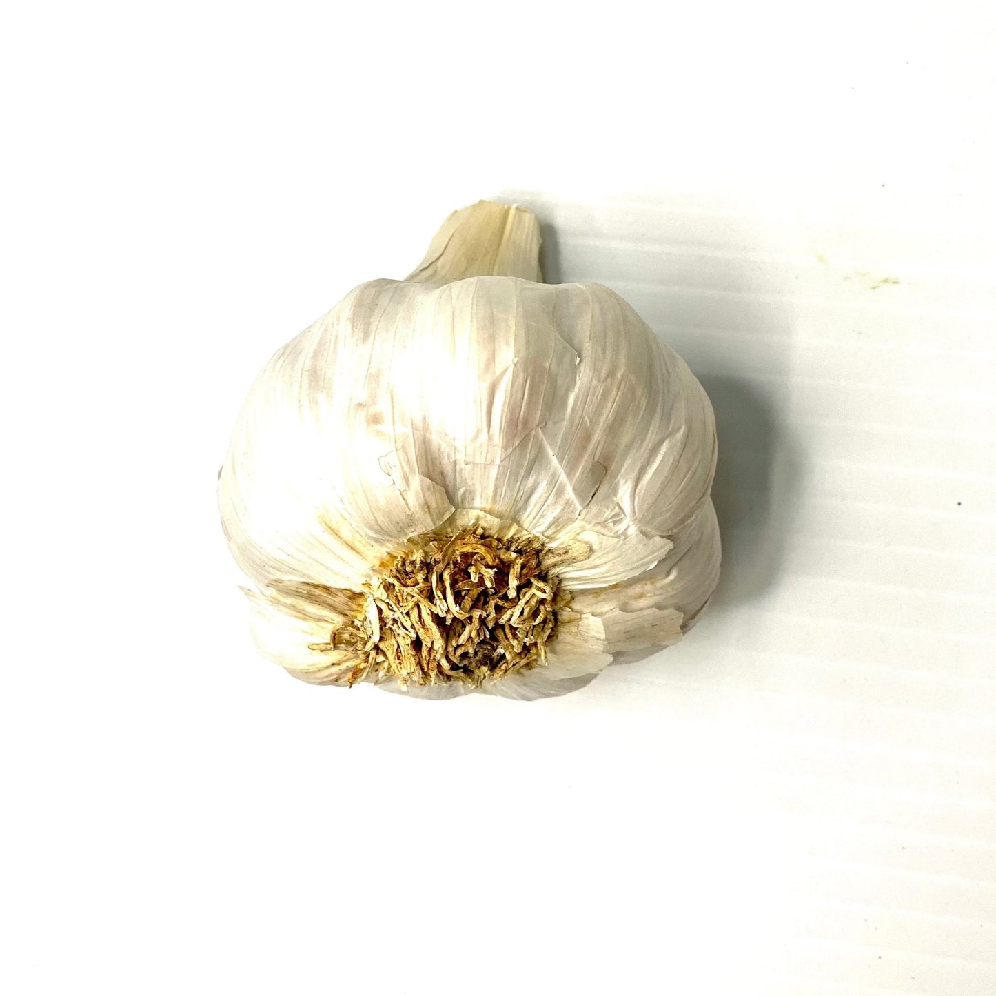 Garlic (Head)