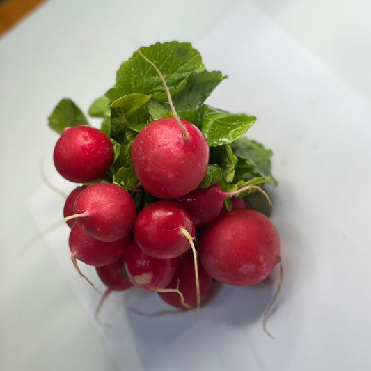 Radish (Bunch)