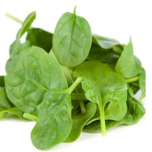 Spinach - Baby