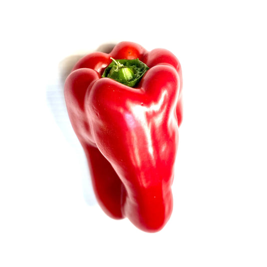 Capsicum Red