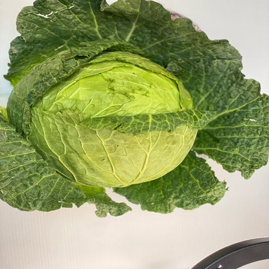 Cabbage